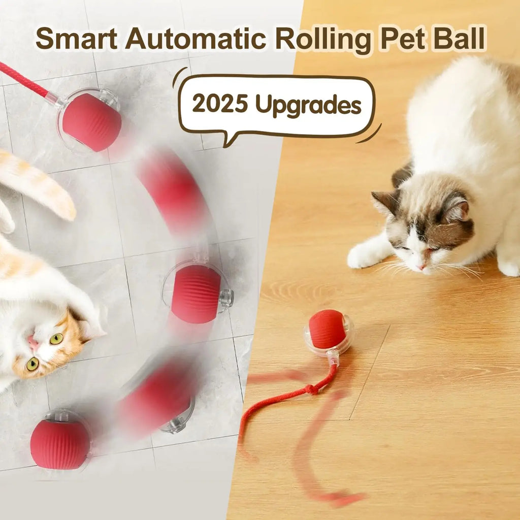 Automatic Cat Mouse Toy
