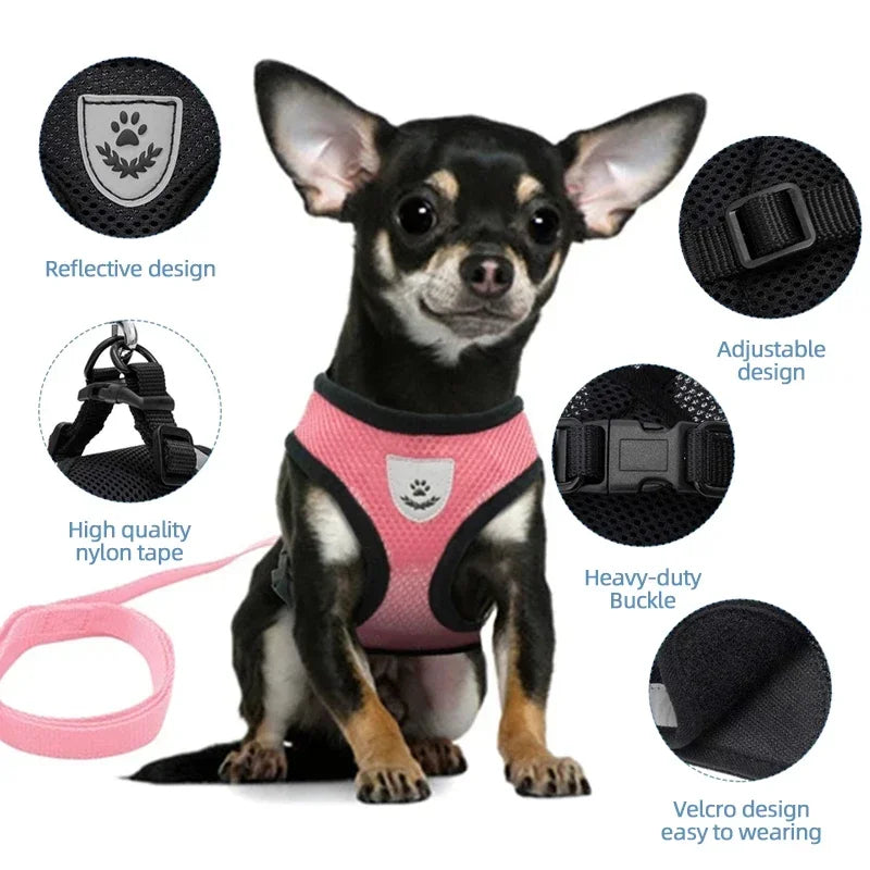 Breathable Pet Harness with Leash 🐾