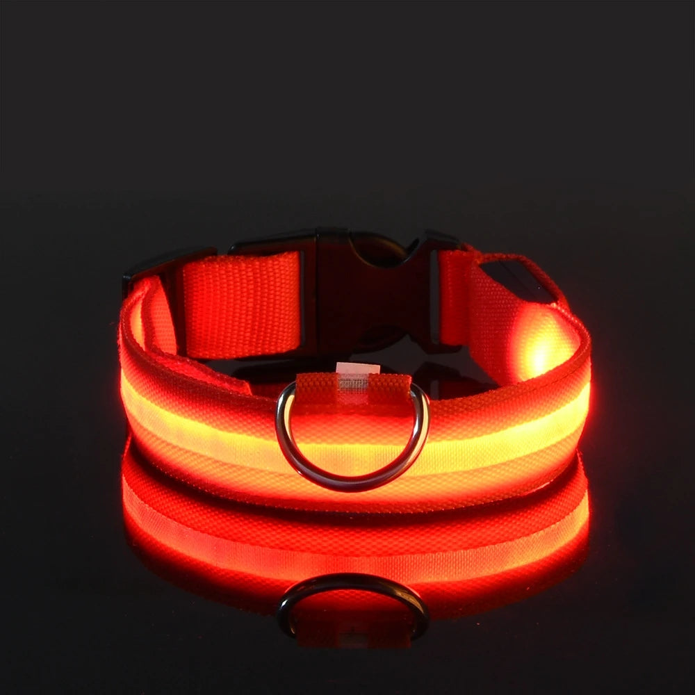 Glow-in-the-Dark LED Dog Leash