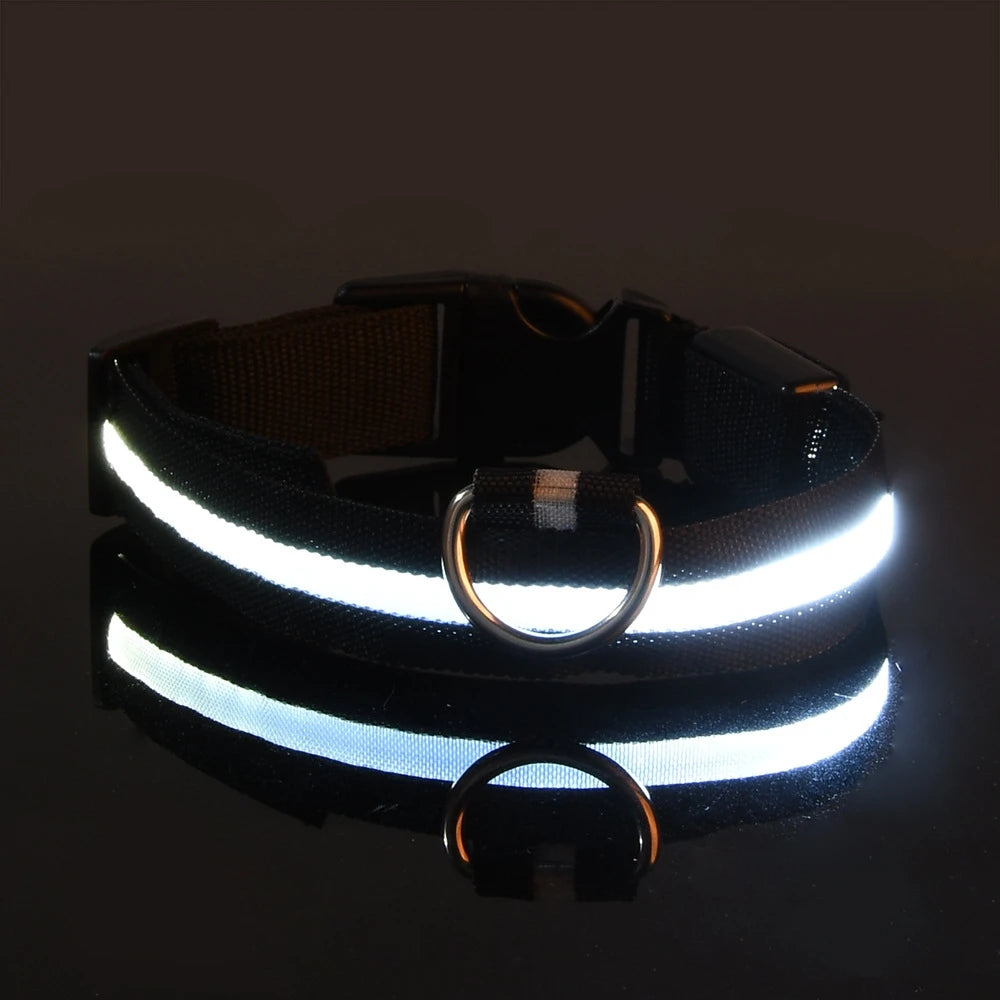 Glow-in-the-Dark LED Dog Leash