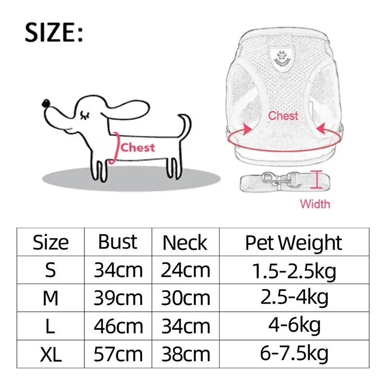 Breathable Pet Harness with Leash 🐾