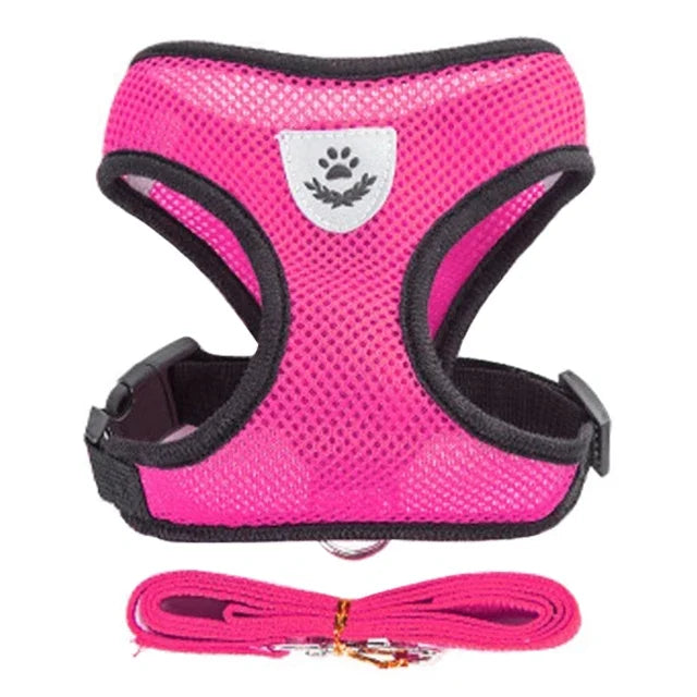 Breathable Pet Harness with Leash 🐾