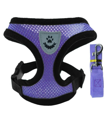 Breathable Pet Harness with Leash 🐾