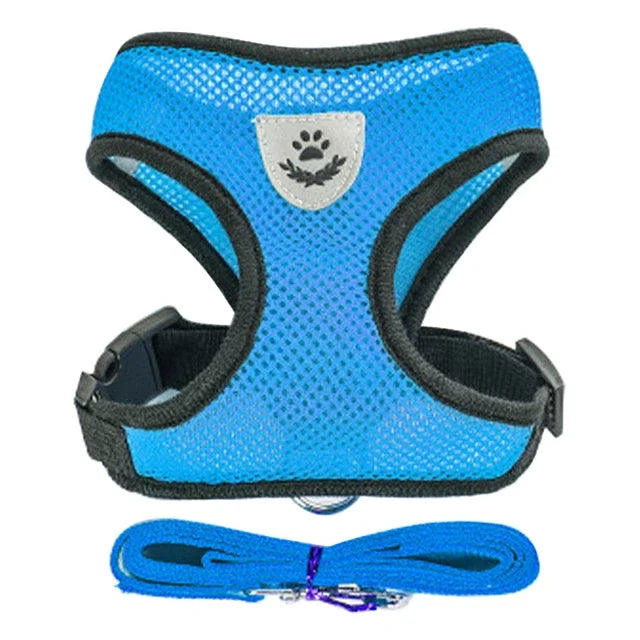 Breathable Pet Harness with Leash 🐾