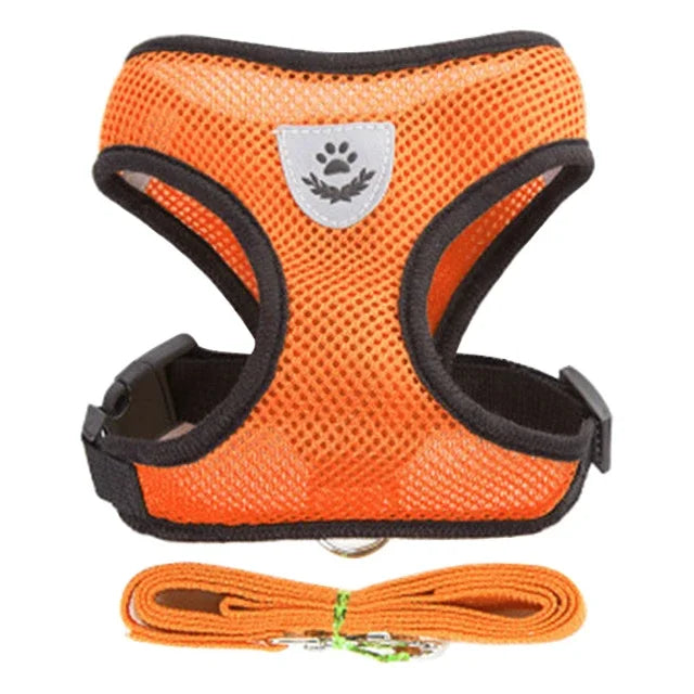 Breathable Pet Harness with Leash 🐾