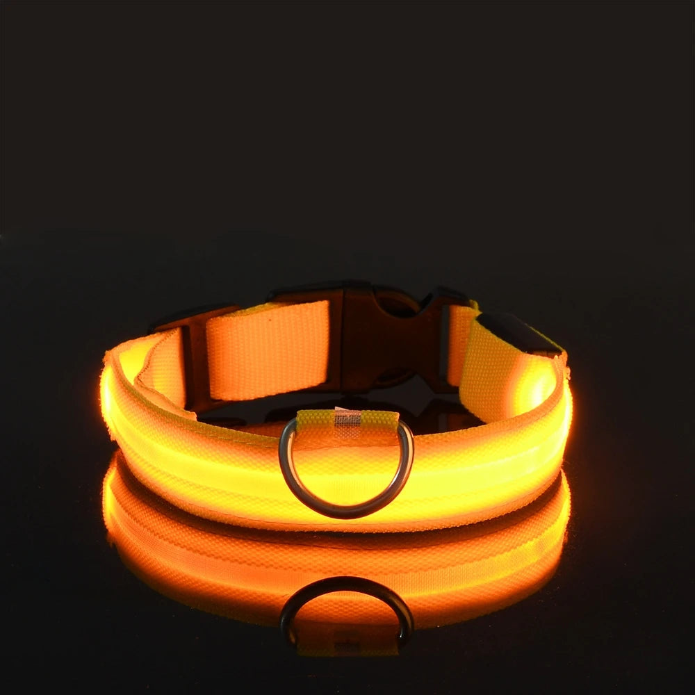 Glow-in-the-Dark LED Dog Leash