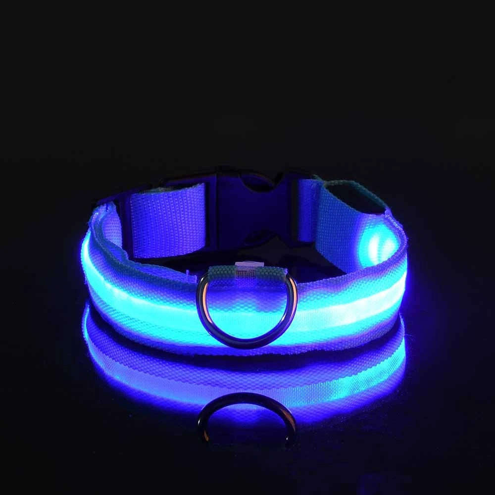 Glow-in-the-Dark LED Dog Leash