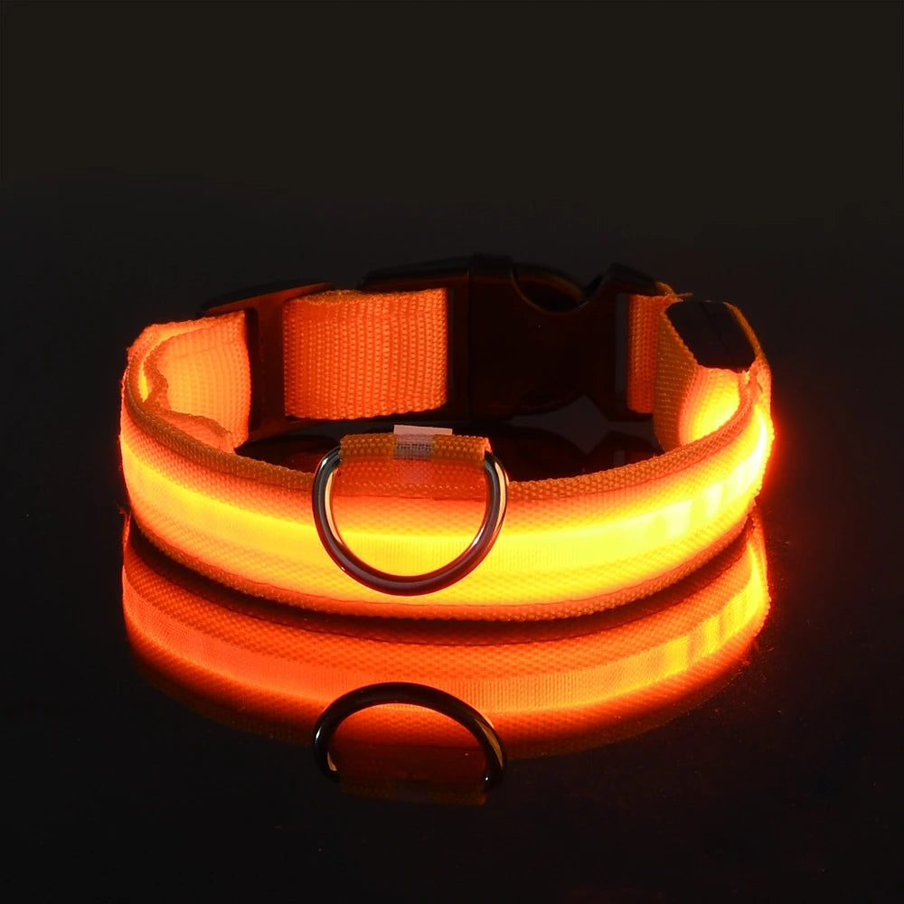 Glow-in-the-Dark LED Dog Leash