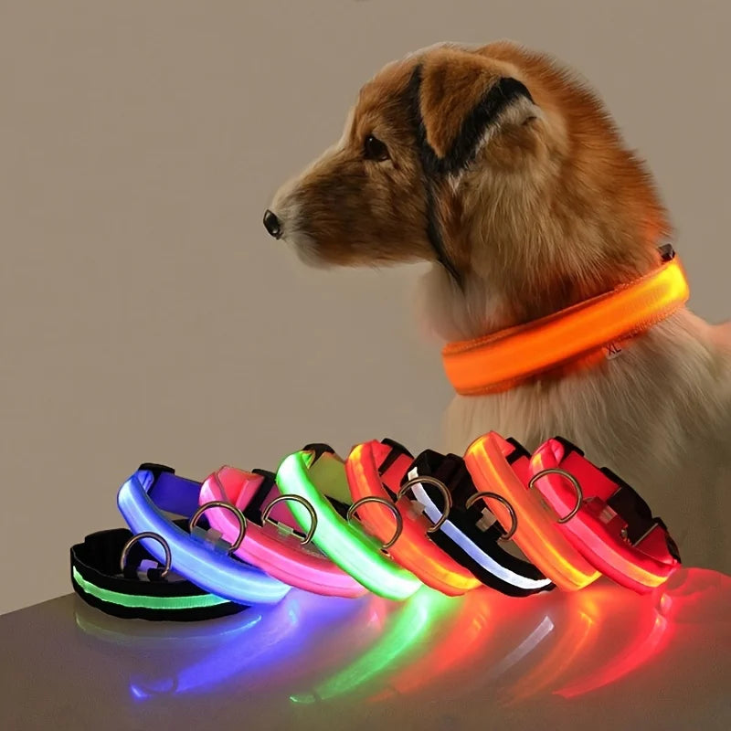 Glow-in-the-Dark LED Dog Leash