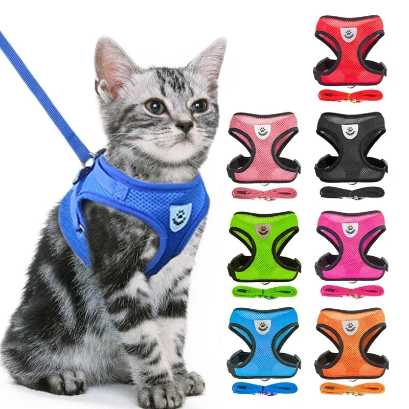 Breathable Pet Harness with Leash 🐾