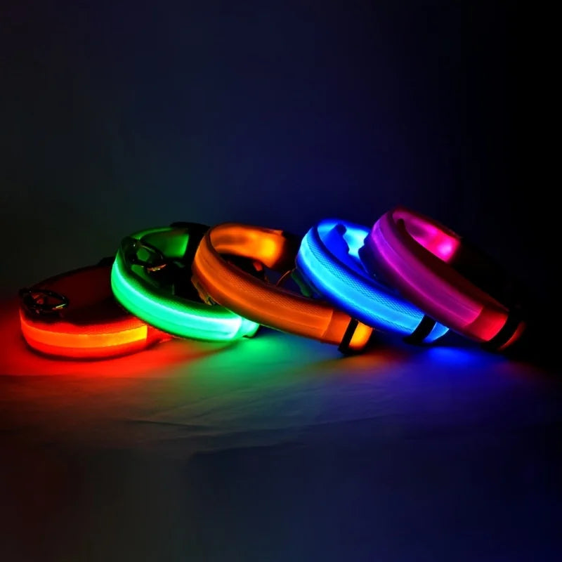 Glow-in-the-Dark LED Dog Leash