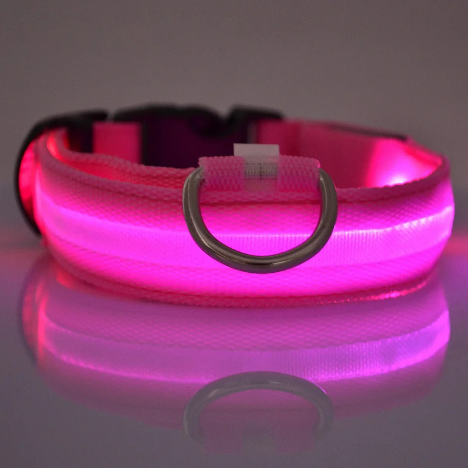 Glow-in-the-Dark LED Dog Leash