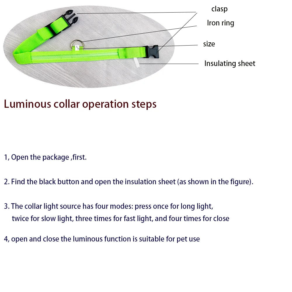 Glow-in-the-Dark LED Dog Leash