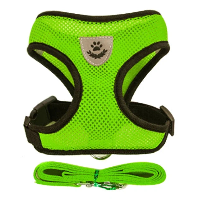 Breathable Pet Harness with Leash 🐾