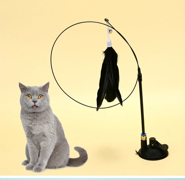 Crack-on-a-Stick (for Cats)