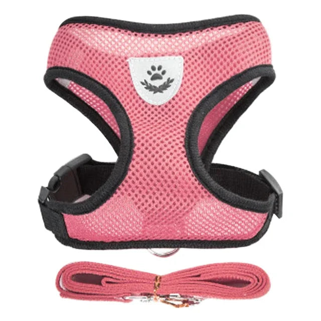 Breathable Pet Harness with Leash 🐾