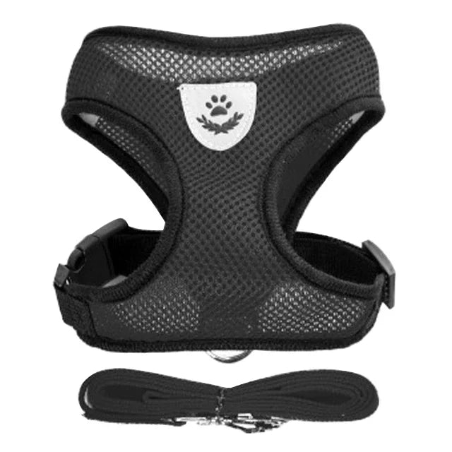 Breathable Pet Harness with Leash 🐾