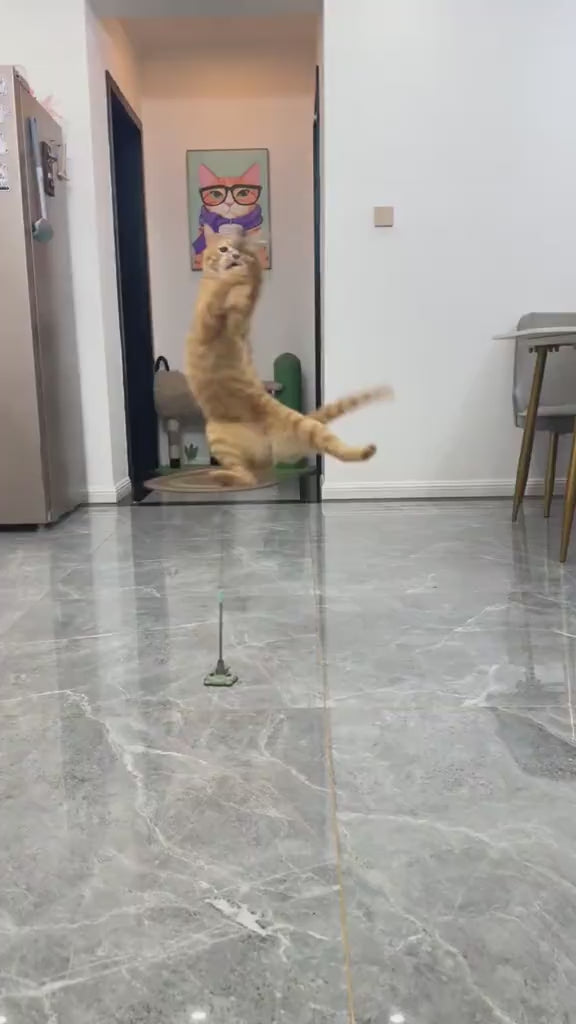 Crack-on-a-Stick (for Cats)