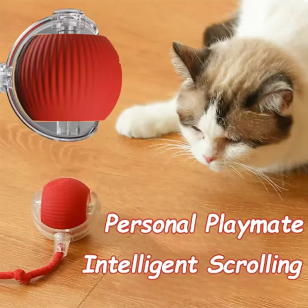 Automatic Cat Mouse Toy